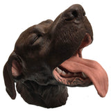 Erler-Zimmer Chirurgisches Zahnmodell Hund