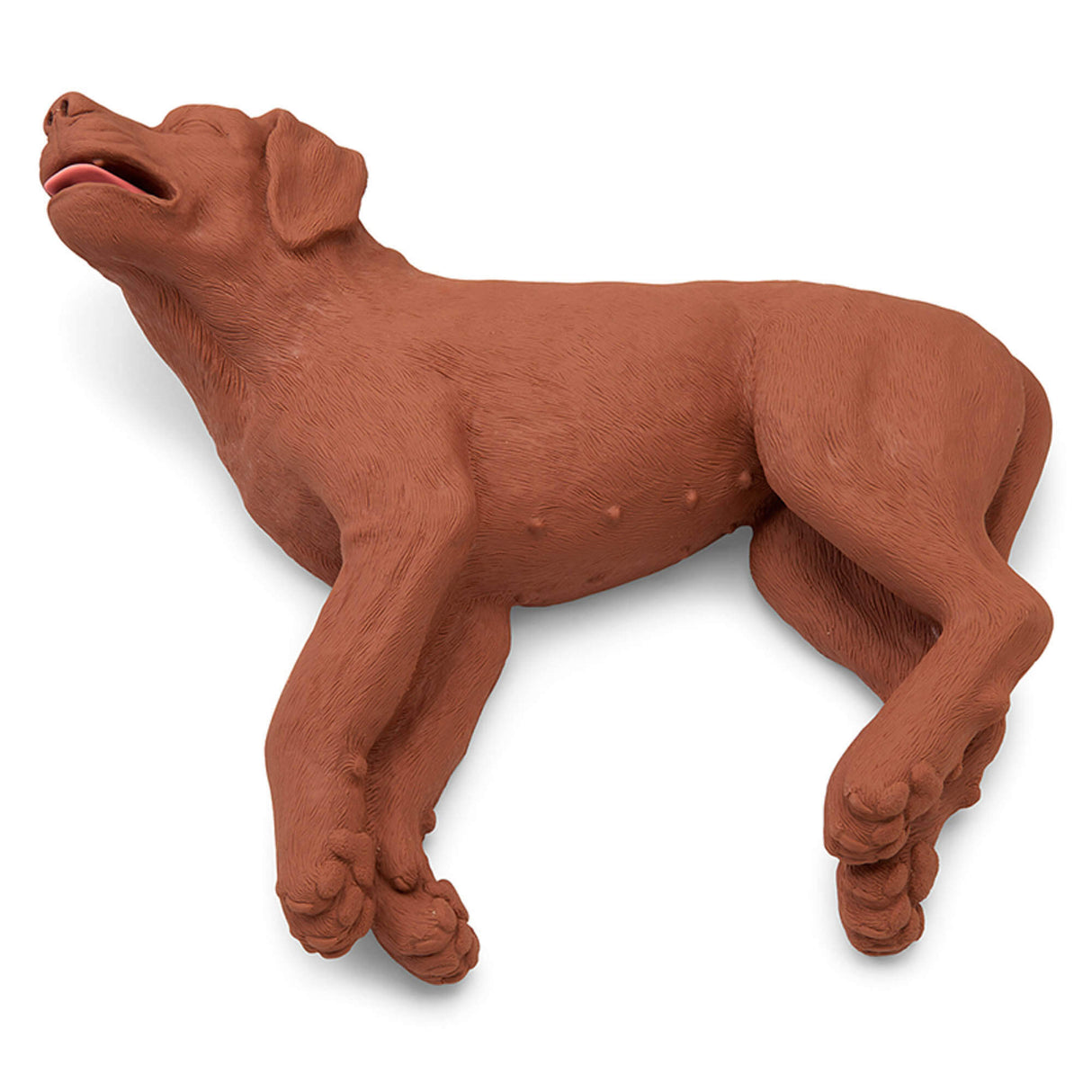 Erler-Zimmer HLW Übungshund CasPeR