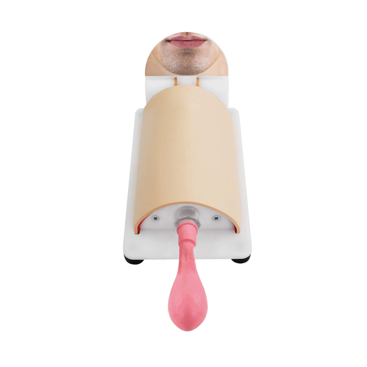 Erler-Zimmer Koniotomie-Trainer „Berlin“