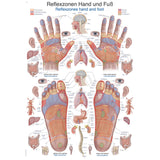 Erler-Zimmer Lehrtafel "Reflexzonen Hand und Fuß"