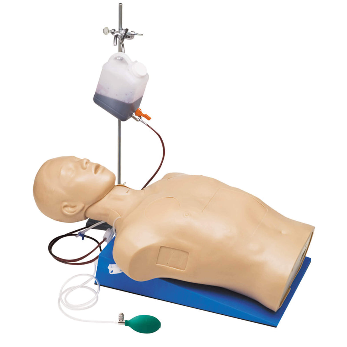 Erler-Zimmer Thorax-Trauma-Trainer