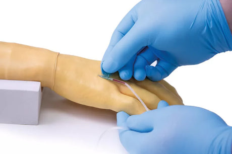 Erler-Zimmer Trainingsarm für intravenöse Injektion und Infusion