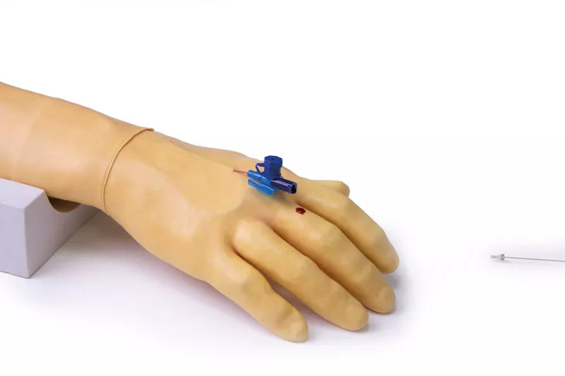 Erler-Zimmer Trainingsarm für intravenöse Injektion und Infusion