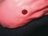 Erler-Zimmer OGD Oesophago Gastro Duodenoskopie Simulator