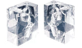 Erler-Zimmer Transparentes Laryngopharynx Modell