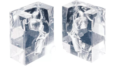Erler-Zimmer Transparentes Laryngopharynx Modell