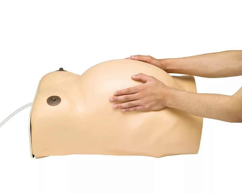 Erler-Zimmer Schwangerschafts Untersuchungs Modell mit Herzton Simulation