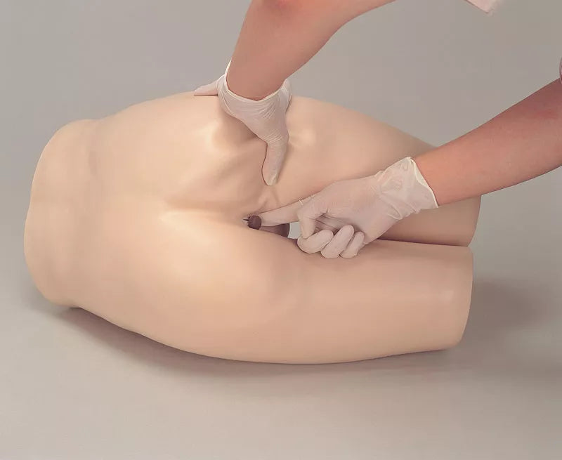 Erler-Zimmer Einlauf Simulator Modell