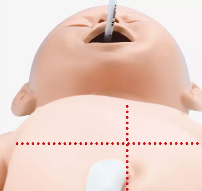 Erler-Zimmer Intubations und Wiederbelebungs Modell Neugeborenes