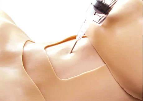 Erler-Zimmer Thorax-Trauma-Trainer