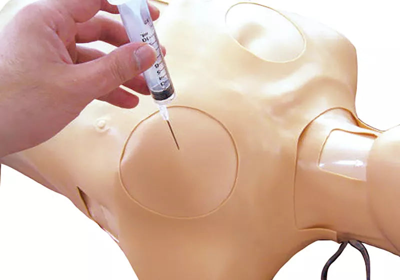Erler-Zimmer Thorax-Trauma-Trainer