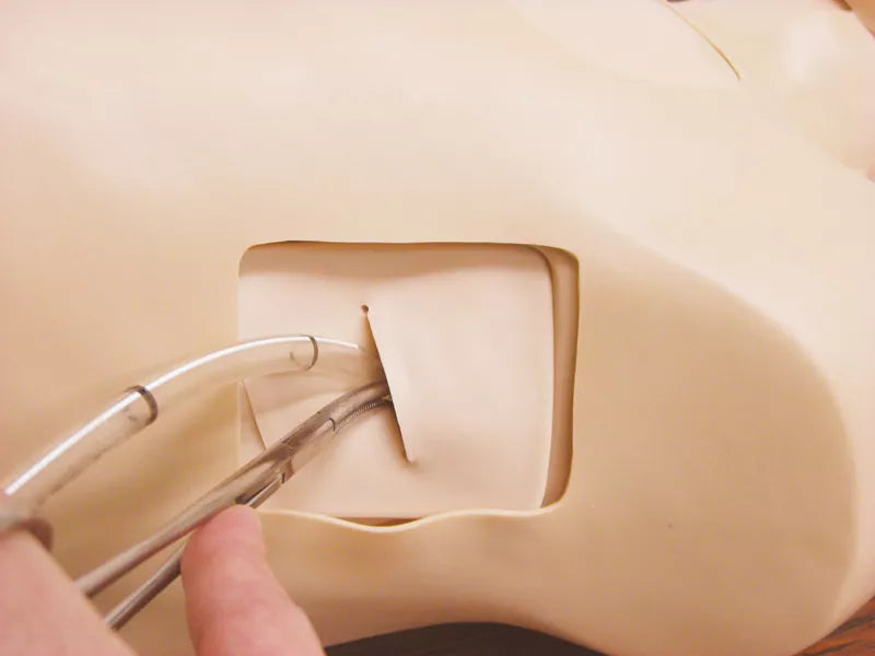 Erler-Zimmer Thorax-Trauma-Trainer