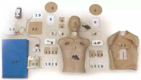 Erler-Zimmer Thorax-Trauma-Trainer