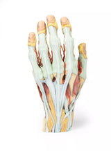 Erler-Zimmer Hand