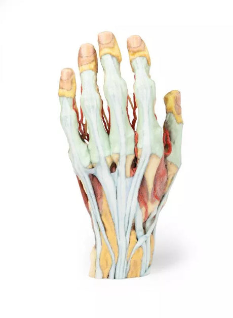 Erler-Zimmer Hand