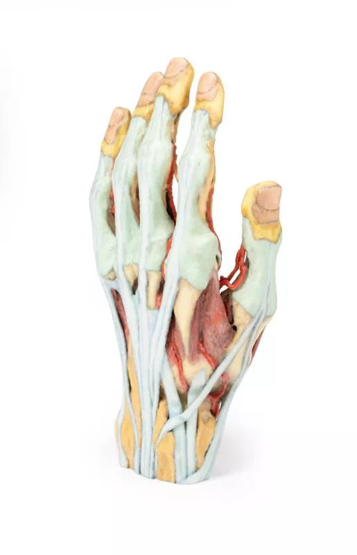 Erler-Zimmer Hand