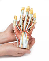 Erler-Zimmer Hand