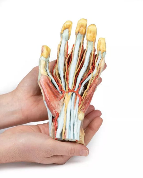 Erler-Zimmer Hand