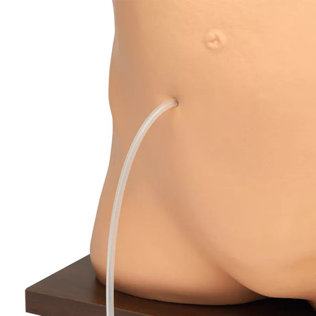 Erler-Zimmer Peritonealdialyse Simulator Modell