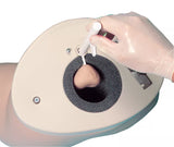 Erler-Zimmer Prostatauntersuchungs Simulator