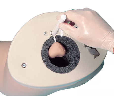 Erler-Zimmer Prostatauntersuchungs Simulator