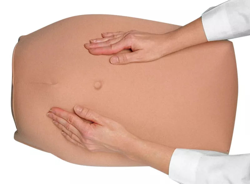 Erler-Zimmer Modellset abdominale Palpation