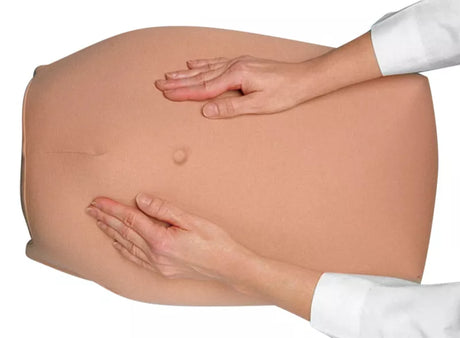 Erler-Zimmer Modellset abdominale Palpation