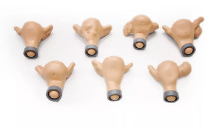Erler-Zimmer GYN/AID Gynäkologischer Simulator