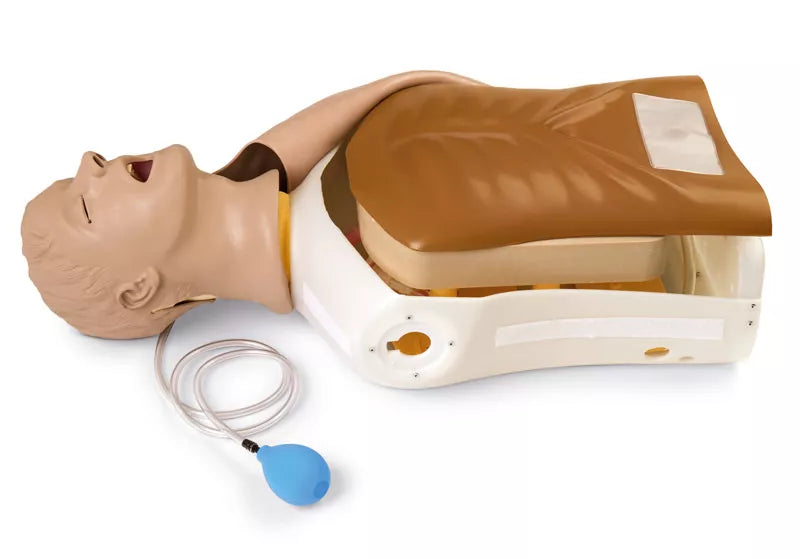 Erler-Zimmer Airway Larry Erwachsenen-Airway Management Trainer Torso