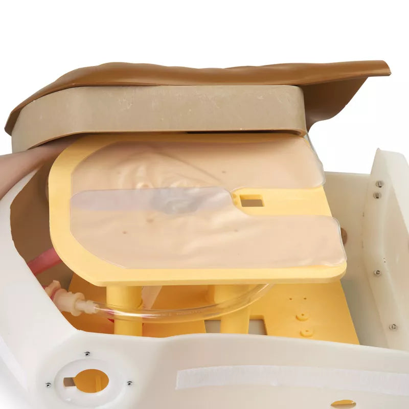 Erler-Zimmer Airway Larry Erwachsenen-Airway Management Trainer Torso