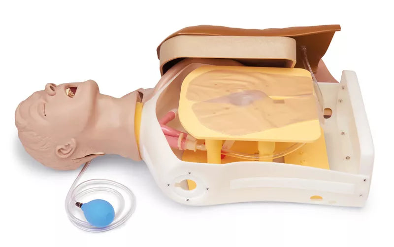 Erler-Zimmer Erweiterter Airway Larry Erwachsenen-Airway Management Trainer Torso