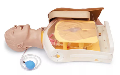 Erler-Zimmer Erweiterter Airway Larry Erwachsenen-Airway Management Trainer Torso