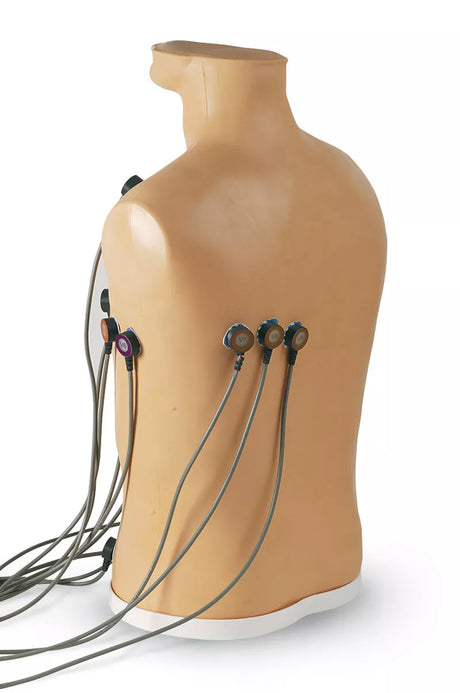 Erler-Zimmer 15-Kanal-EKG-Platzierungstrainer