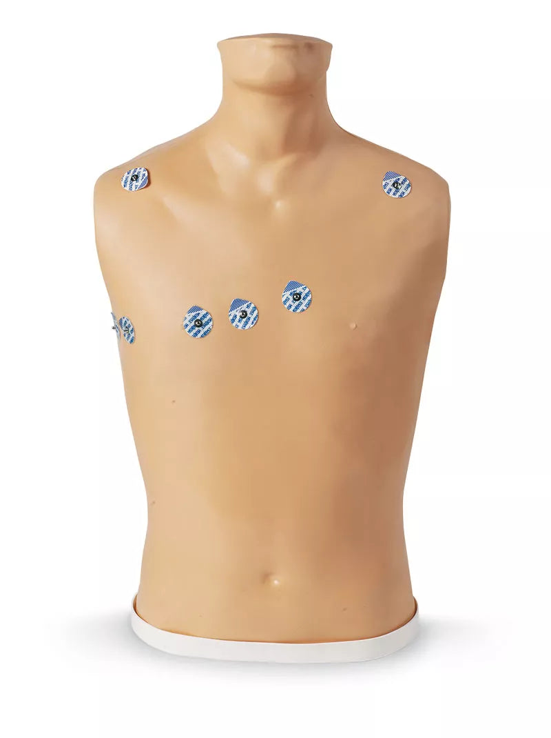 Erler-Zimmer 15-Kanal-EKG-Platzierungstrainer