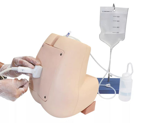 Erler-Zimmer Ultraschallfähiger Lumbalpunktions /Epiduralpunktions Simulator