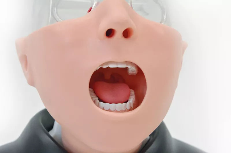 Erler-Zimmer Nasopharyngealer Abstrichsimulator