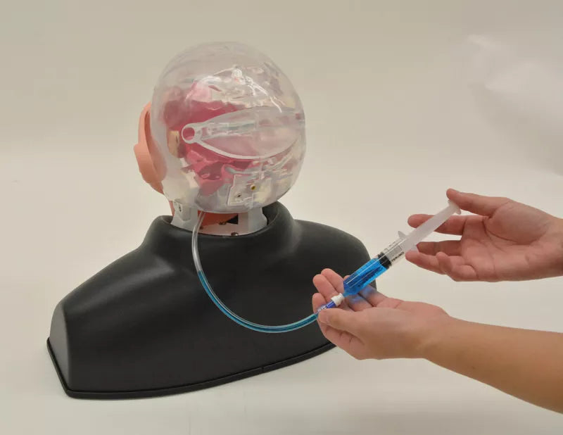 Erler-Zimmer Nasopharyngealer Abstrichsimulator