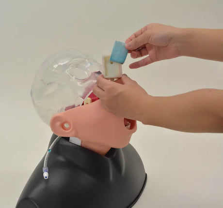Erler-Zimmer Nasopharyngealer Abstrichsimulator