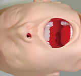 Erler-Zimmer Simulator schwieriges Atemwegsmanagement