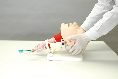 Erler-Zimmer Demonstrationsmodell schwieriges Atemwegsmanagement