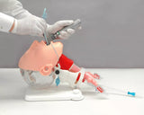 Erler-Zimmer Demonstrationsmodell schwieriges Atemwegsmanagement