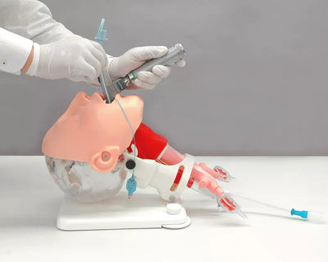 Erler-Zimmer Demonstrationsmodell schwieriges Atemwegsmanagement