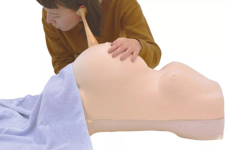 Erler-Zimmer Schwangerschafts-Untersuchungs-Simulator