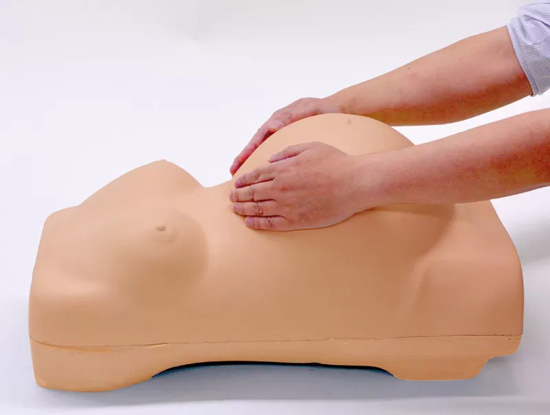 Erler-Zimmer Schwangerschafts-Untersuchungs-Simulator
