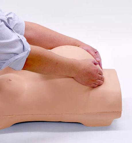 Erler-Zimmer Schwangerschafts-Untersuchungs-Simulator