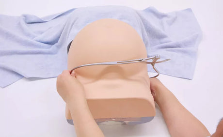 Erler-Zimmer Schwangerschafts-Untersuchungs-Simulator