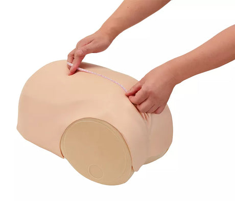 Erler-Zimmer Simulator zur Uterus - Rückbildungsuntersuchung