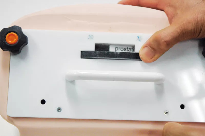 Erler-Zimmer Prostata Untersuchungs Trainer