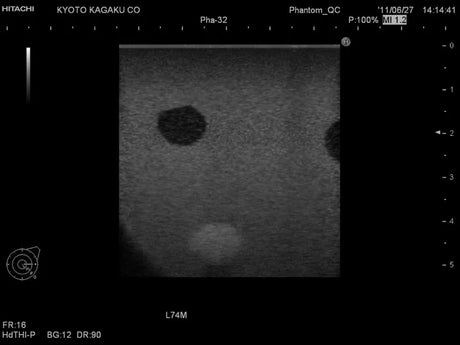 Erler-Zimmer Ultraschallgestütztes Brustbiopsie-Phantom (Set mit einer basis und einer erweiterten Version)