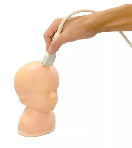 Erler-Zimmer Neonatales Ultraschall-Übungsphantom Kopf mit Hydrocephalus